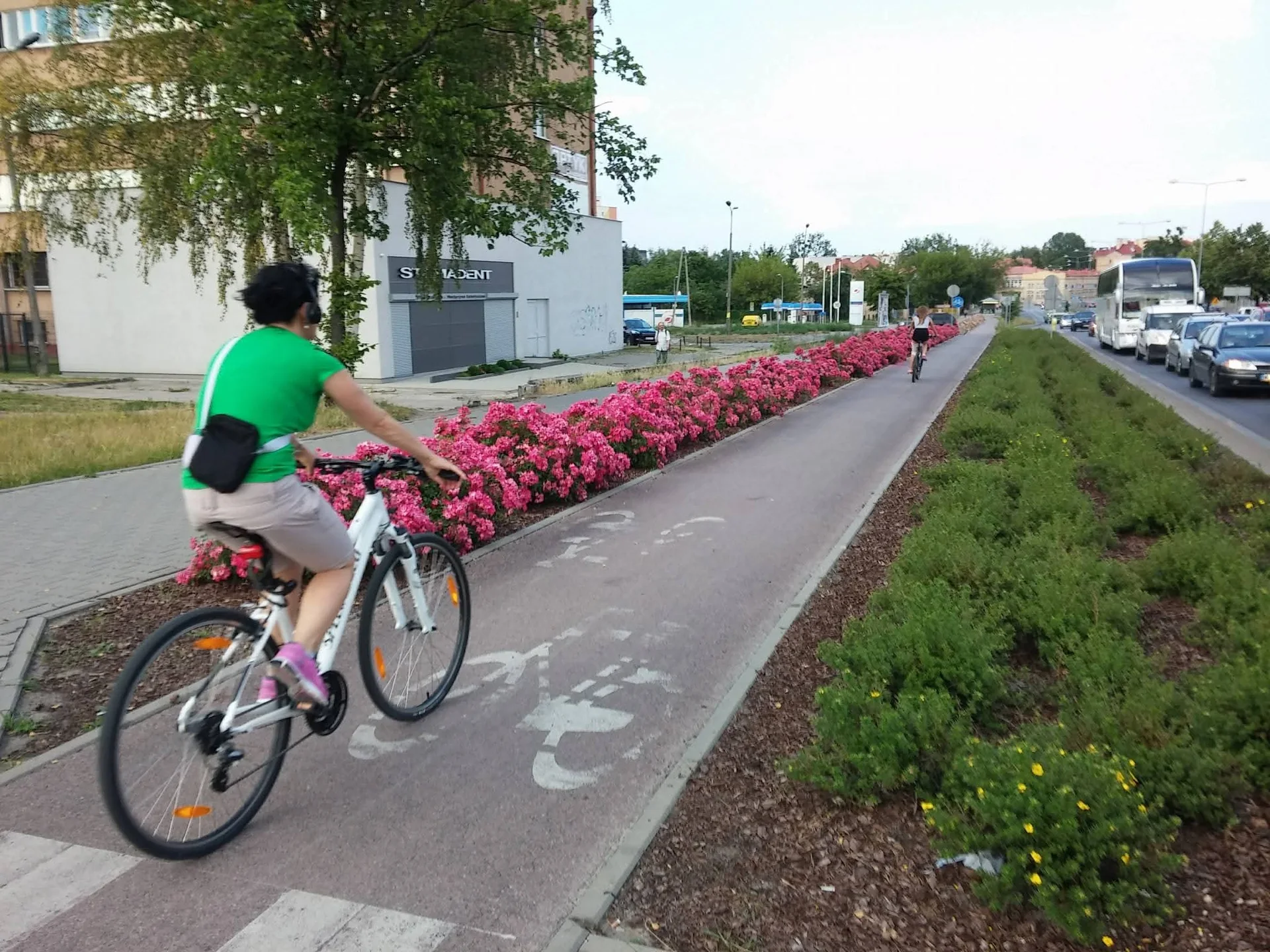 Droga rowerowa wśród zieleni i kwiatów