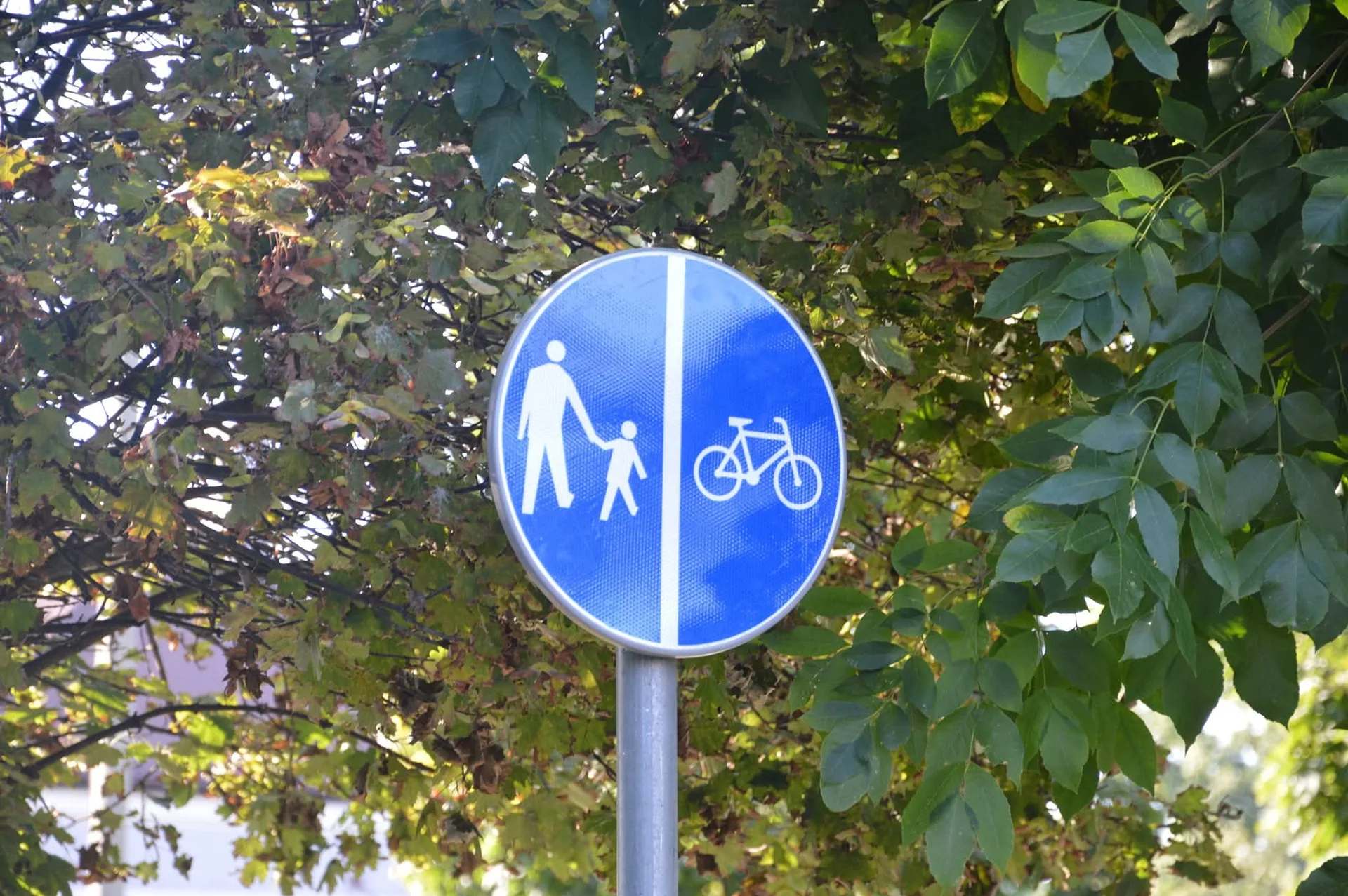 Oznakowanie ciągu pieszo-rowerowego