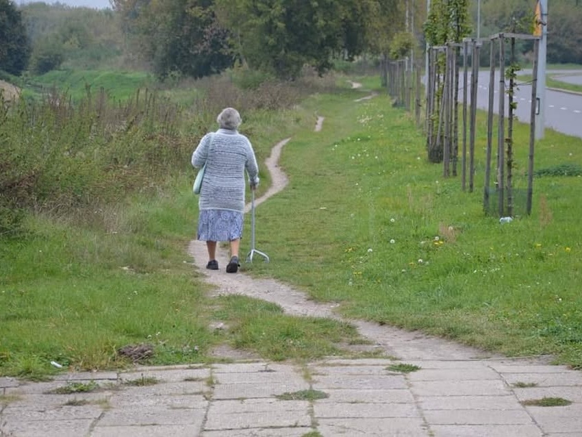 Przetarg na budowę drogi dla rowerów na Szarych Szeregów