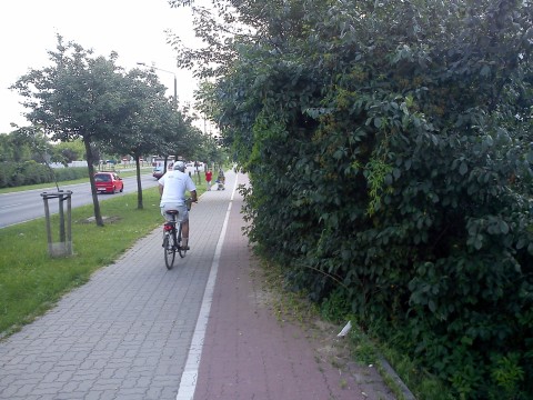 Radom. Droga rowerwa na ul. Chrobrego zarasta gałęziami Radom. Droga rowerwa na ul. Chrobrego zarasta gałęziami