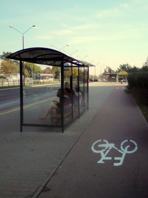 Radom. Nowa malowanka na drodze rowerowej w al. Grzecznarowskiego Radom. Nowa malowanka na drodze rowerowej w al. Grzecznarowskiego