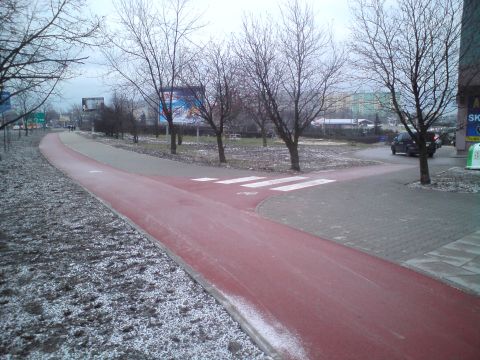 Radom. Asfaltowa droga rowerowa w al. Grzecznarowskiego