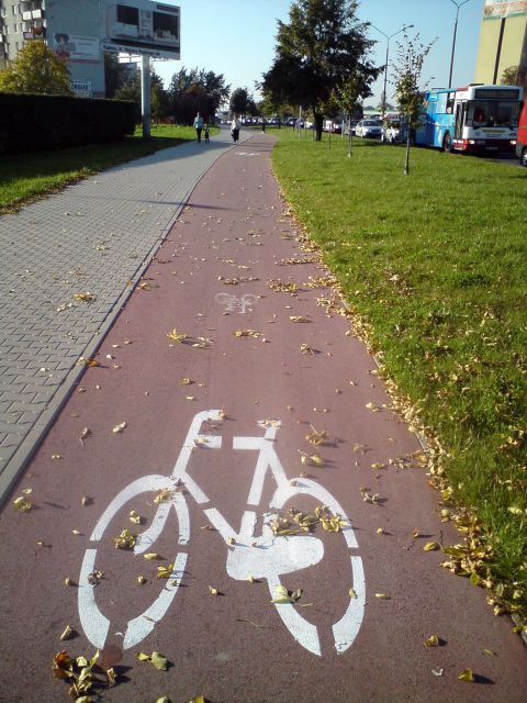 Radom. Nowa malowanka na drodze rowerowej w al. Grzecznarowskiego Radom. Nowa malowanka na drodze rowerowej w al. Grzecznarowskiego