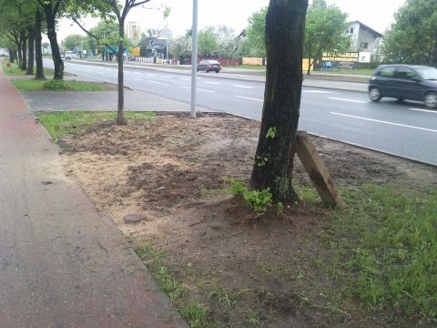 Radom. Ul. Warszawska, fuszerki na drodze rowerowej