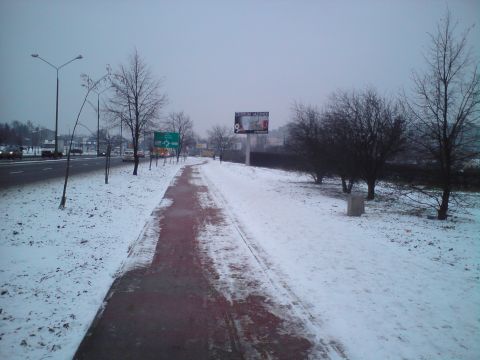 Radom. Odśnieżona droga rowerowa w al. Grzecznarowskiego Radom. Odśnieżona droga rowerowa w al. Grzecznarowskiego
