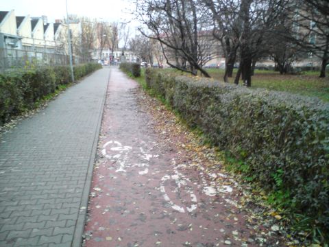 Radom. Al. Grzecznarowskiego, zabrudzona droga rowerowa Radom. Al. Grzecznarowskiego, zabrudzona droga rowerowa