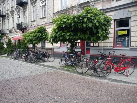 Radom. Spotkanie sieci miasta dla rowerów Radom. Spotkanie sieci miasta dla rowerów