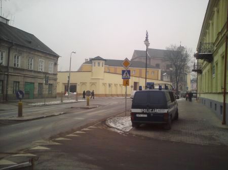 Radom. Policyjna s... samica łosia na ul. Reja Radom. Policyjna s... samica łosia na ul. Reja