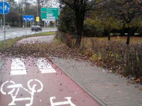Radom. Al. Grzecznarowskiego, zabrudzona droga rowerowa Radom. Al. Grzecznarowskiego, zabrudzona droga rowerowa