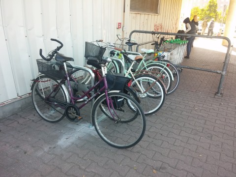 Radom. Rowerem na zakupy. Stokrotka, sheffield bike rack Radom. Rowerem na zakupy. Stokrotka, sheffield bike rack