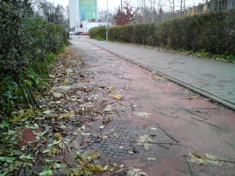 Radom. Al. Grzecznarowskiego, zabrudzona droga rowerowa Radom. Al. Grzecznarowskiego, zabrudzona droga rowerowa