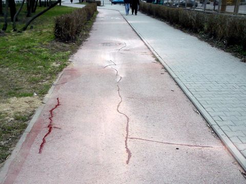 Radom. Naprawa drogi dla rowerów na al. Grzecznarowskiego