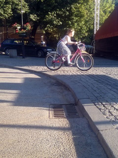 Radom. Krawężnik ul. Niedziałkowskiego