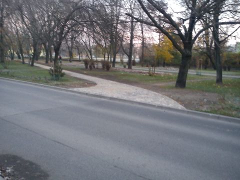 Radom. Ulica Planty bez przejścia dla pieszych Radom. Ulica Planty bez przejścia dla pieszych