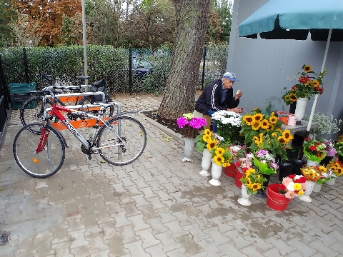 Radom, zieleniak Feniks, rowerem na zkupy