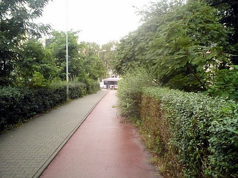 Radom, krzaki przy drodze rowerowej ostrzyżone do połowy Radom, krzaki przy drodze rowerowej ostrzyżone do połowy