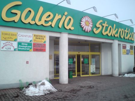 Radom. Stojaki rowerowe pod Stokrotką Radom. Stojaki rowerowe pod Stokrotką