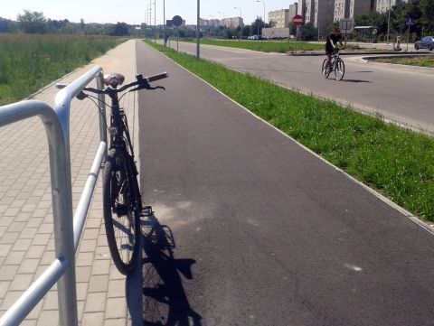 Radom. Wygordzenia przy drodze rowerowej na ul. Mieszka I Radom. Wygordzenia przy drodze rowerowej na ul. Mieszka I