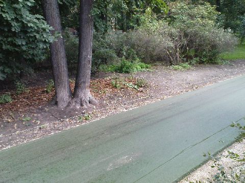 Radom. Zielony asfalt na drodze dla rowerów w parku im. Kościuszki