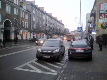 Radom. Łoś na ul. Traugutta Radom. Łoś na ul. Traugutta