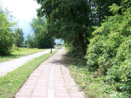 Wygląd drogi rowerowej po sprzątaniem Wygląd drogi rowerowej po sprzątaniem