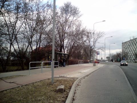 Radom, ul. Warszawska, wygrodzenia przy drodze rowerowej
