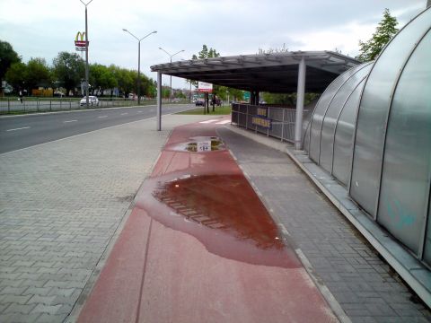 Radom. Al. Grzecznarowskiego, Kałuże na nowej drodze rowerowej Radom. Al. Grzecznarowskiego, Kałuże na nowej drodze rowerowej