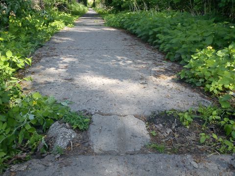 Radom. Ułatwienia rowerowe na ul. Tartacznej Radom. Ułatwienia rowerowe na ul. Tartacznej